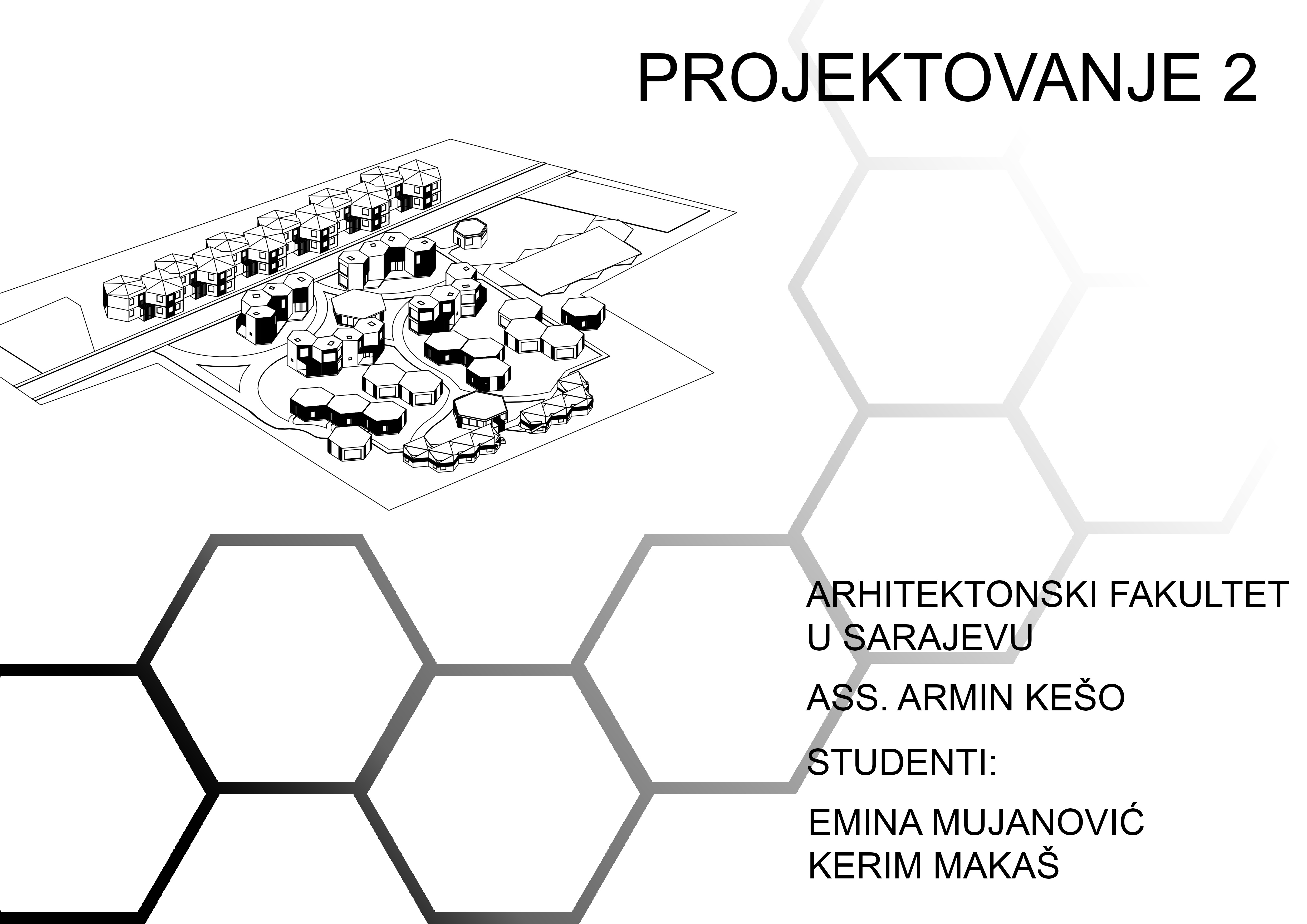 Project 2
